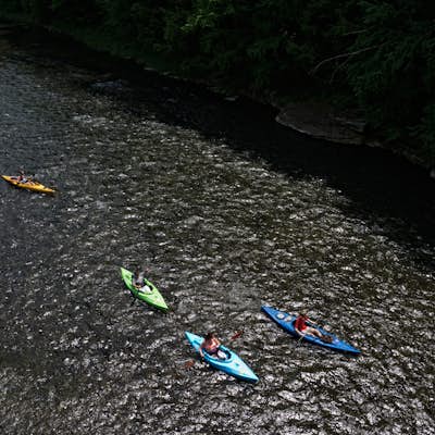 Kayak or Canoe Pine Creek: Blackwell to Black Walnut Bottom