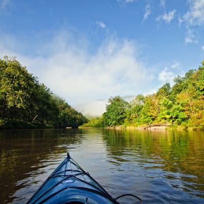 Kayak or Canoe Pine Creek: Blackwell to Black Walnut Bottom