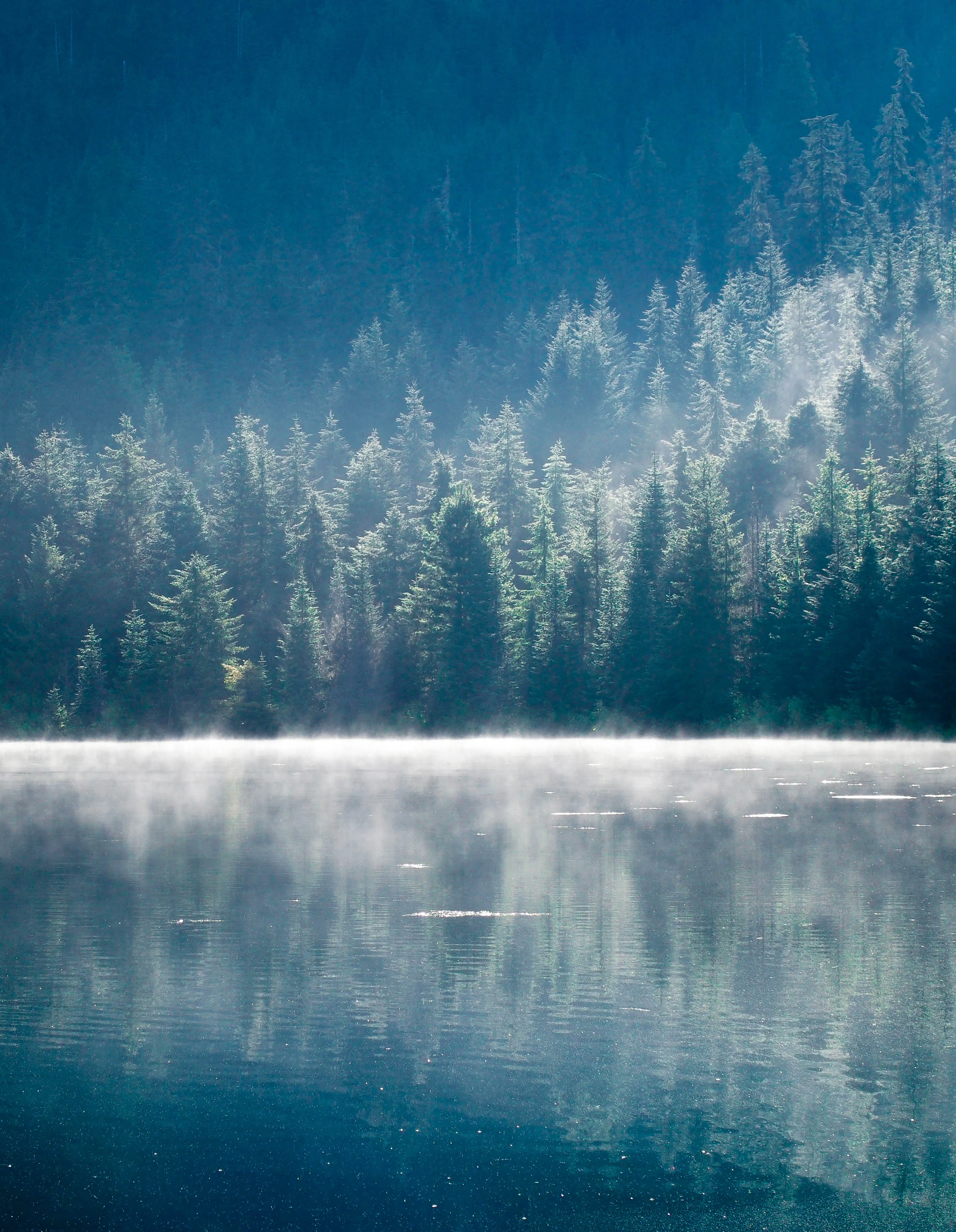 Gold Creek Pond