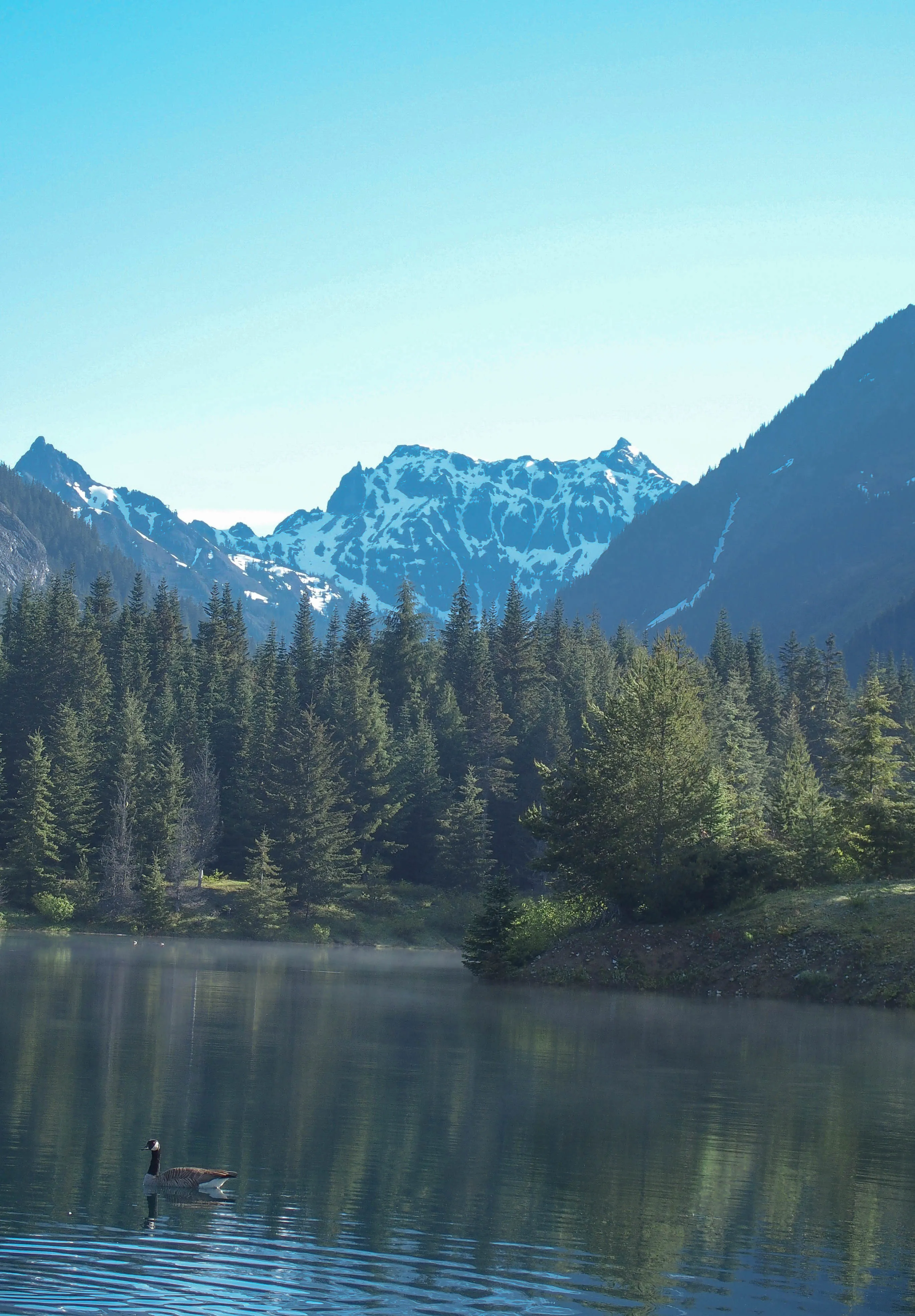 Gold Creek Pond
