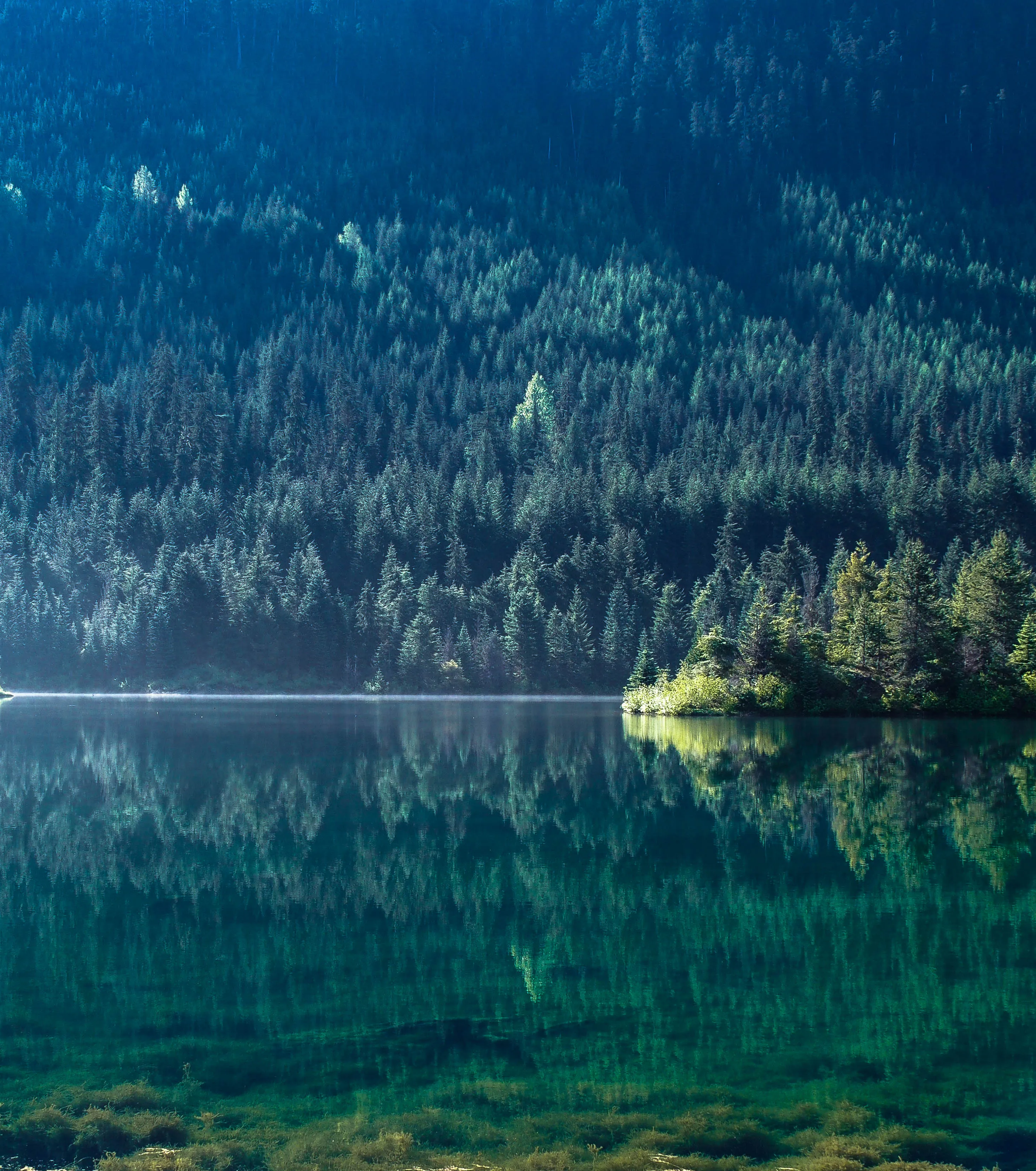 Gold Creek Pond