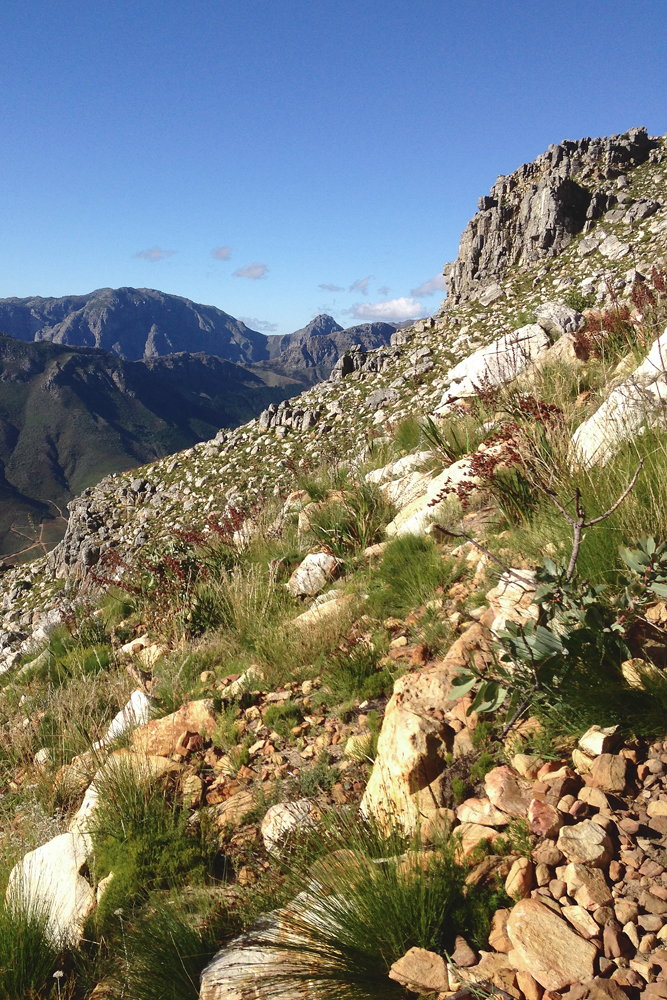 Backpack and Camp on Stellenbosch Mountain
