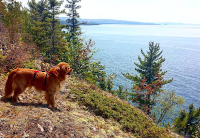 Lake Superior Provincial Park Coastal Trail