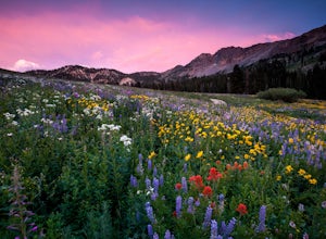  A Seasonal Guide To Utah's Best Spots For Outdoor Photography