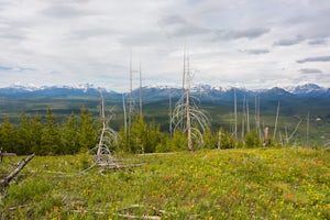 Hike Glacier View Mountain