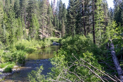 Camp at Algoma Campground in the Shasta-Trinity National Forest ...