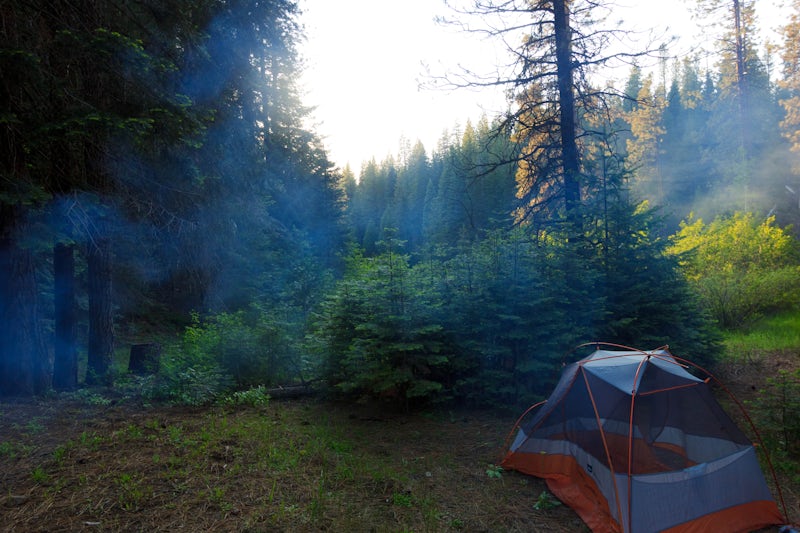 Photo of Camp at Algoma Campground in the ShastaTrinity National Forest