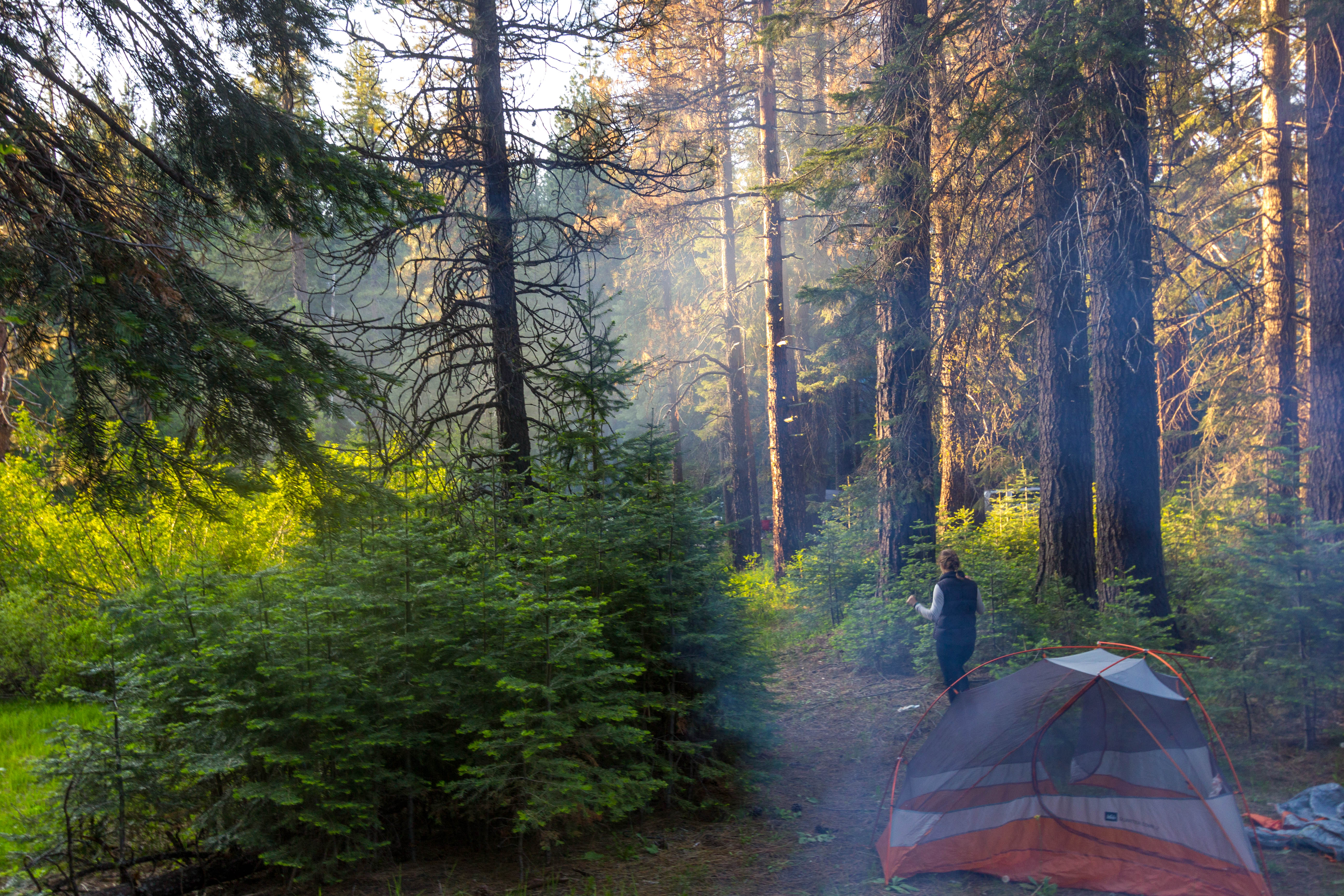 Photo of Camp at Algoma Campground in the ShastaTrinity National Forest