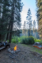 Camp at Algoma Campground in the Shasta-Trinity National Forest 