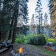 Camp at Algoma Campground in the Shasta-Trinity National Forest 