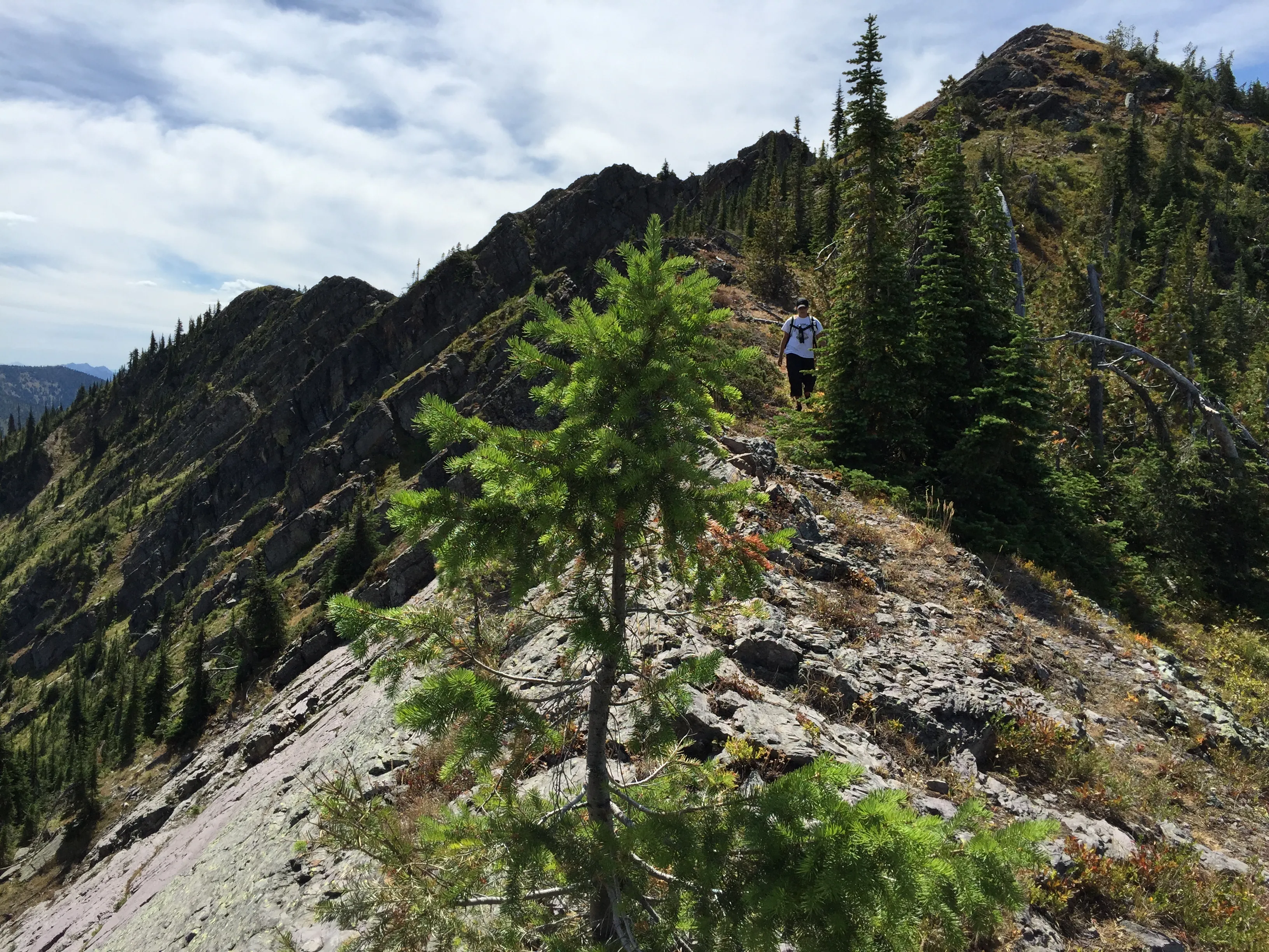 Blaine Mountain via Doris Creek Trail
