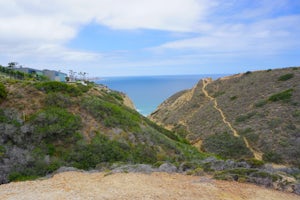 Hike to Black's Beach via the Ho Chi Minh Trail