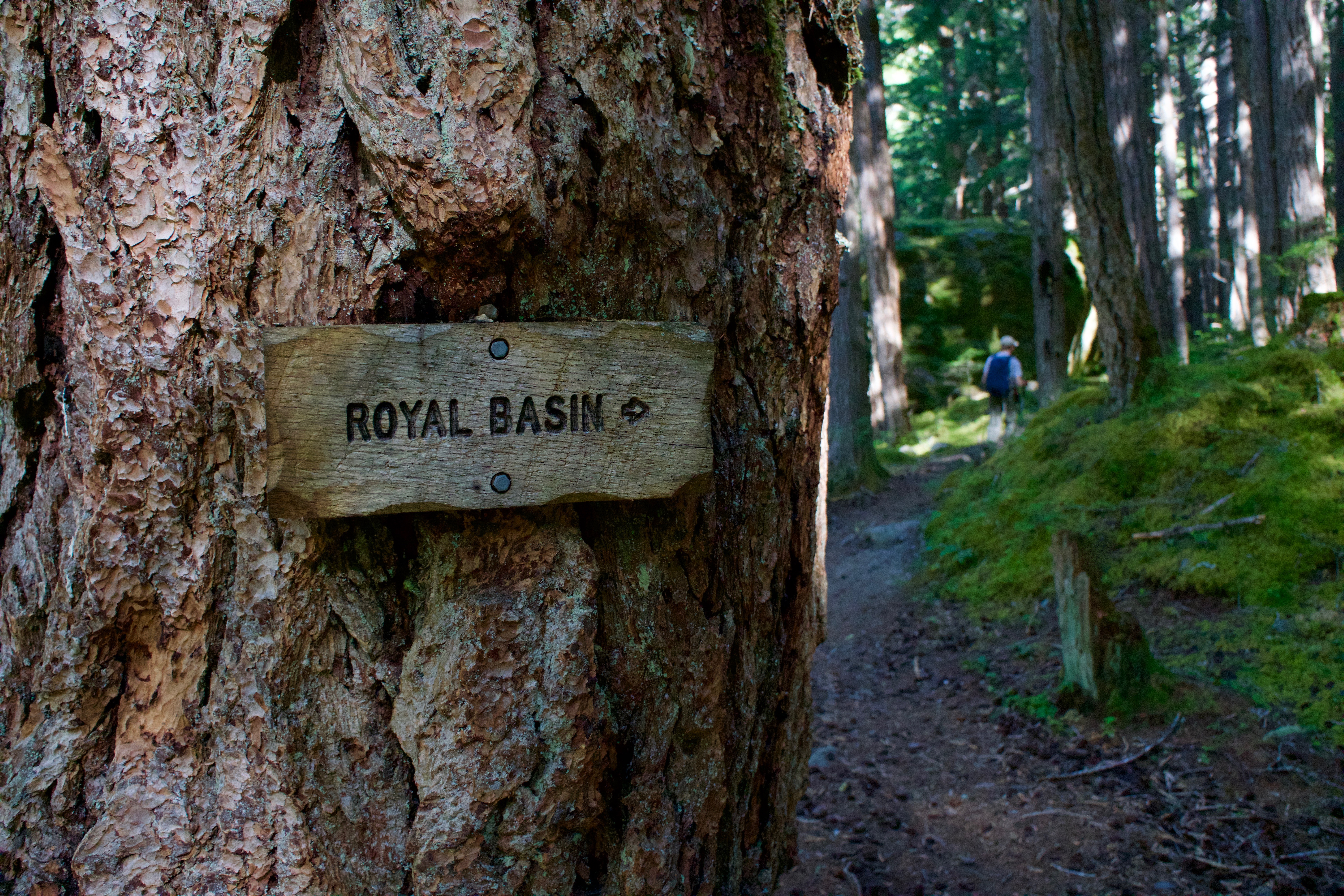 Hike to Royal Basin