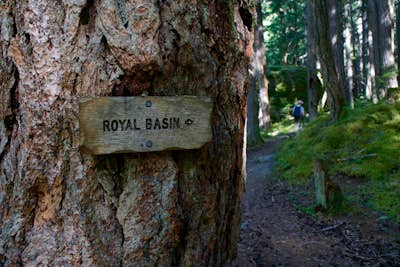 Hike to Royal Basin