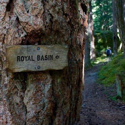 Hike to Royal Basin