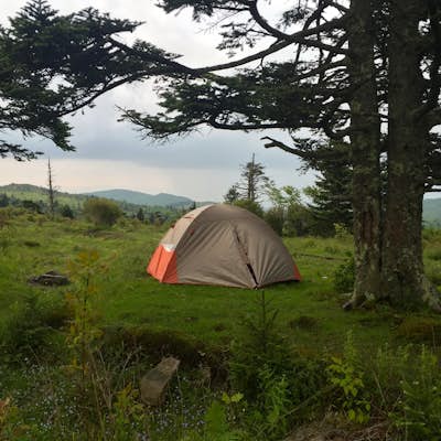 Camp Near the Crest Trail in the Mount Rogers National Recreation Area