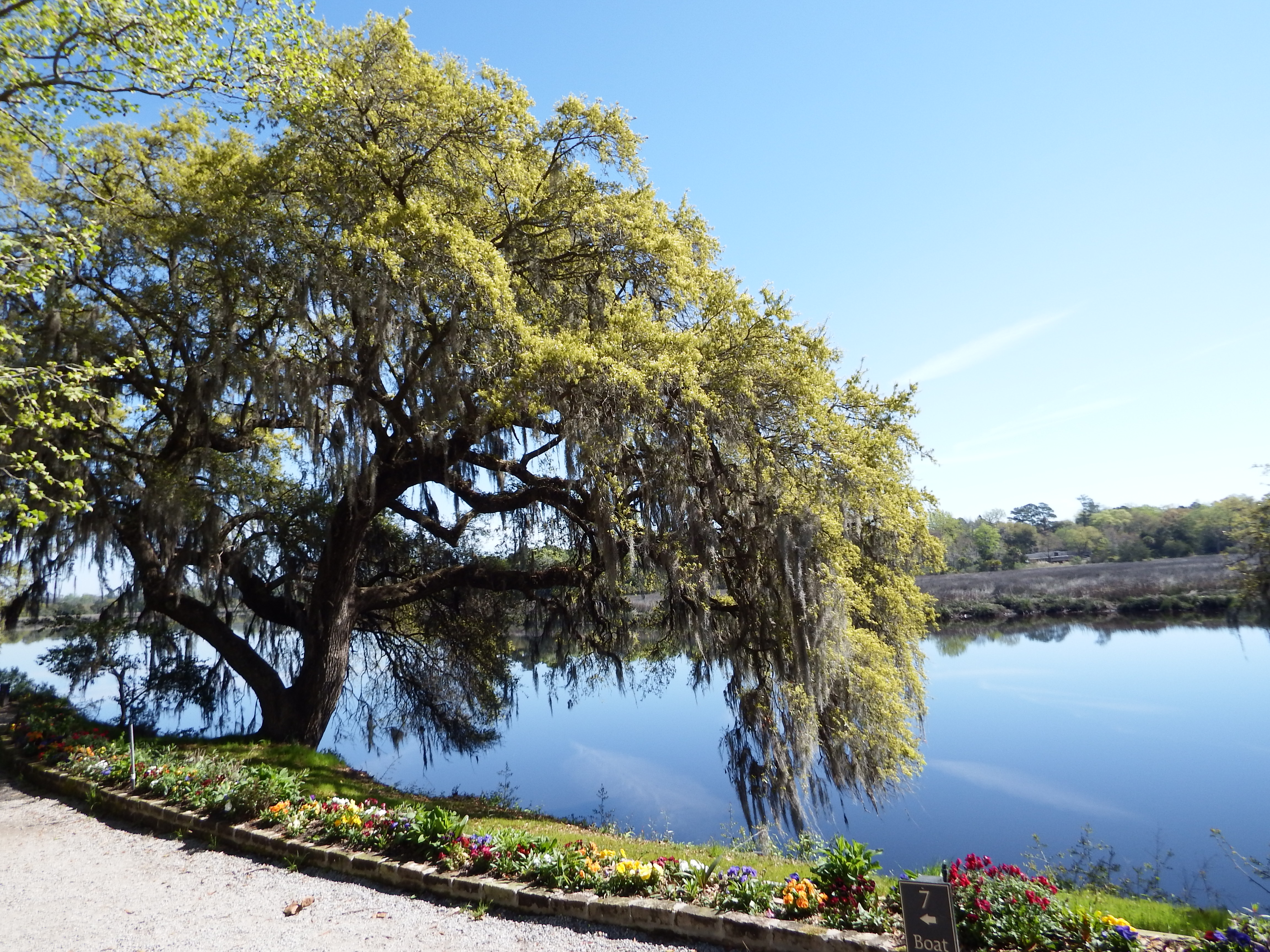 Magnolia Plantation and Gardens