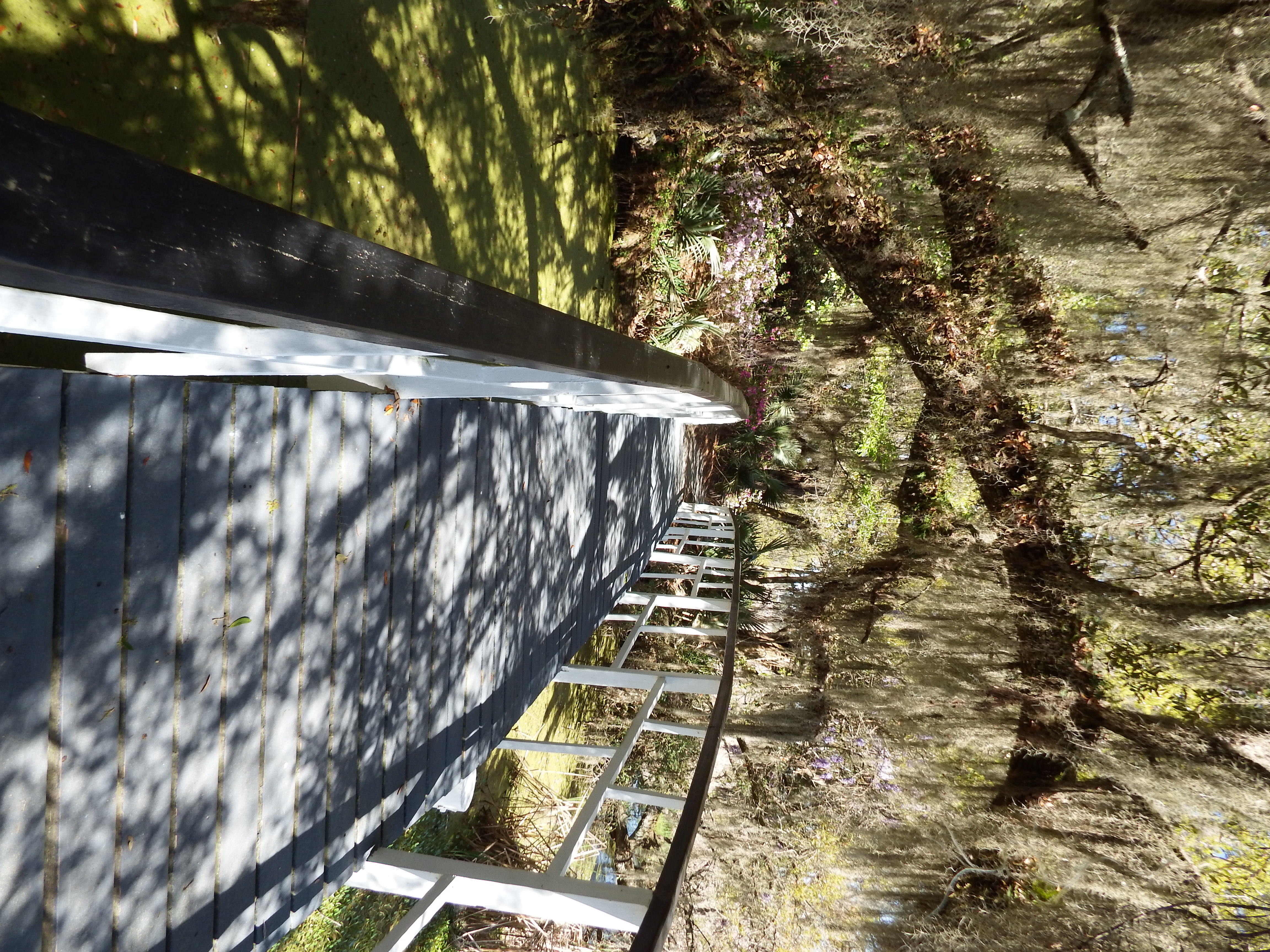 Magnolia Plantation and Gardens