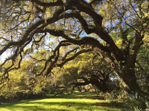 Explore Magnolia Plantation and Gardens