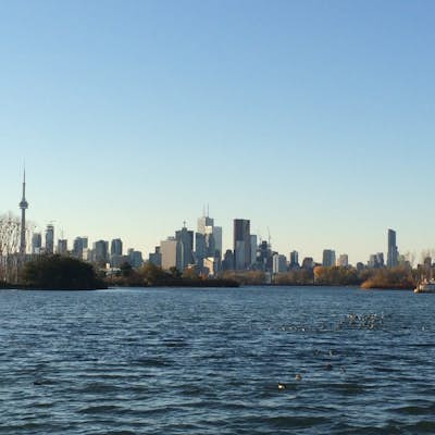 Escape the city to this incredible urban oasis: Tommy Thompson Park