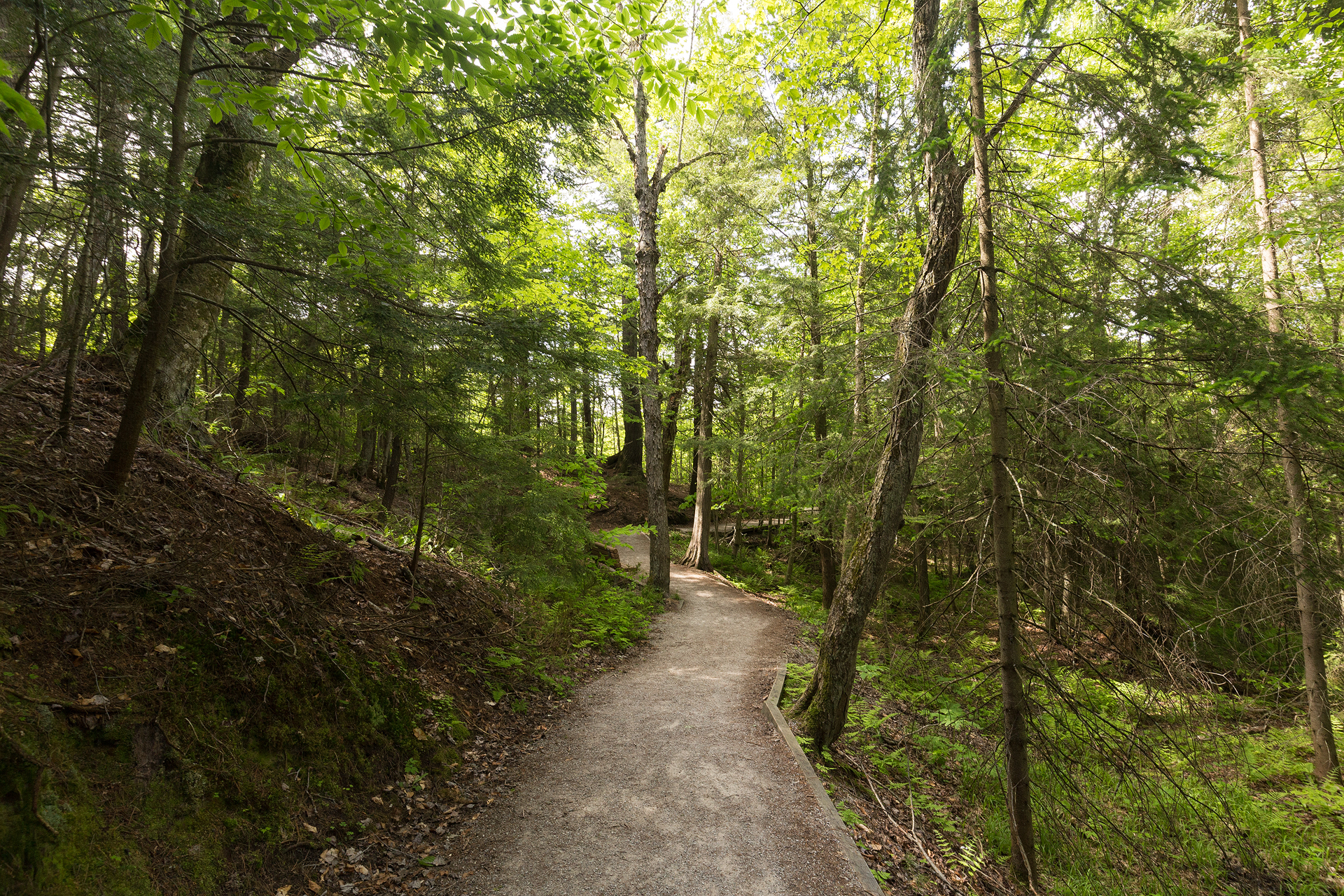 Explore Wagner Falls