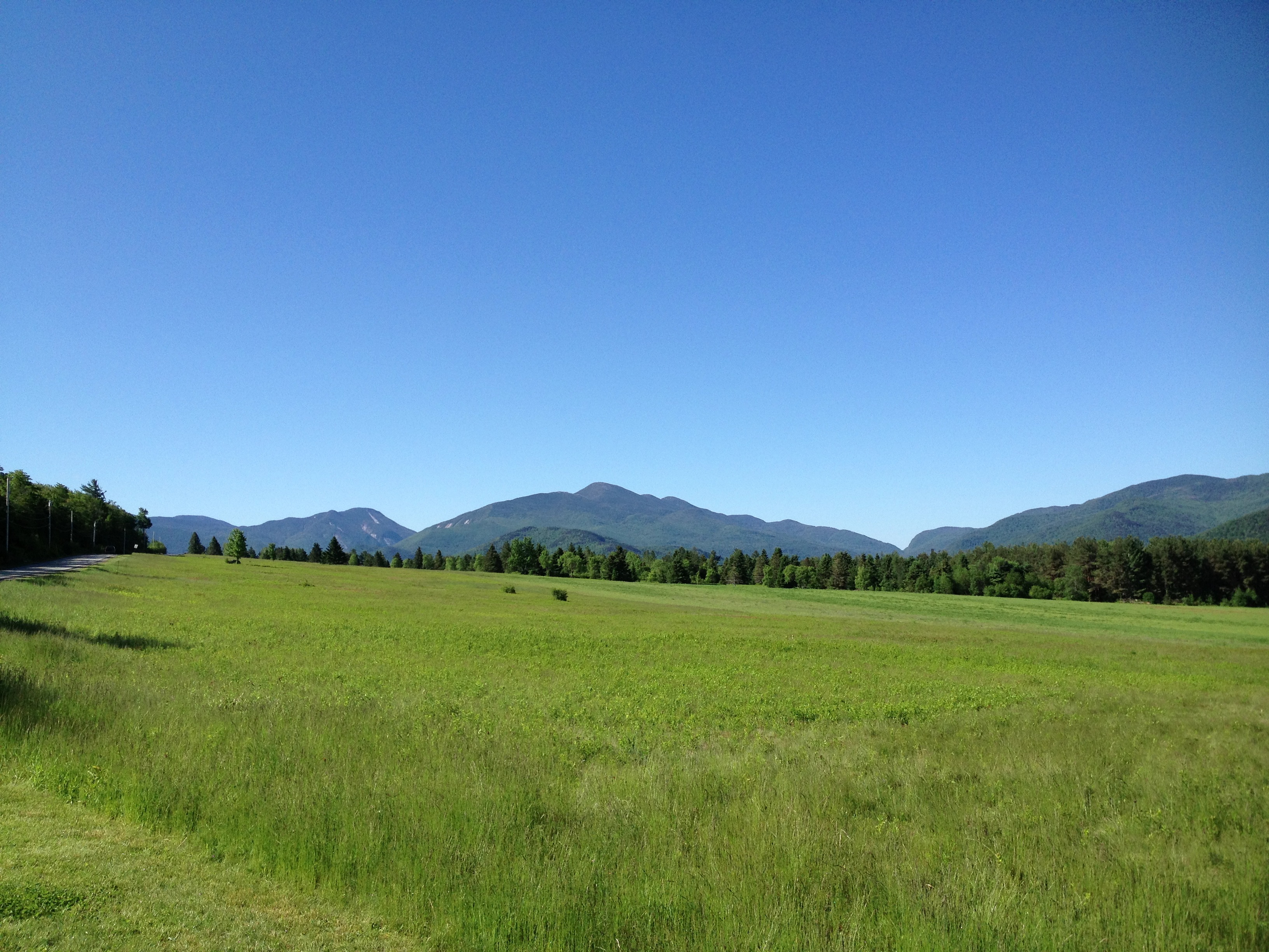 Mount Colden via Avalanche Pass