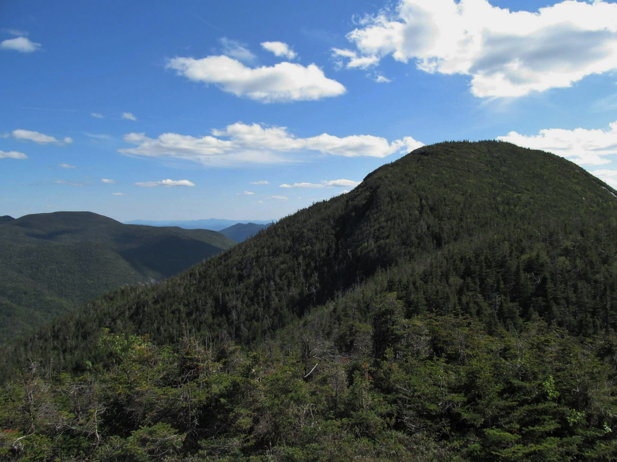 Mount Colden via Avalanche Pass
