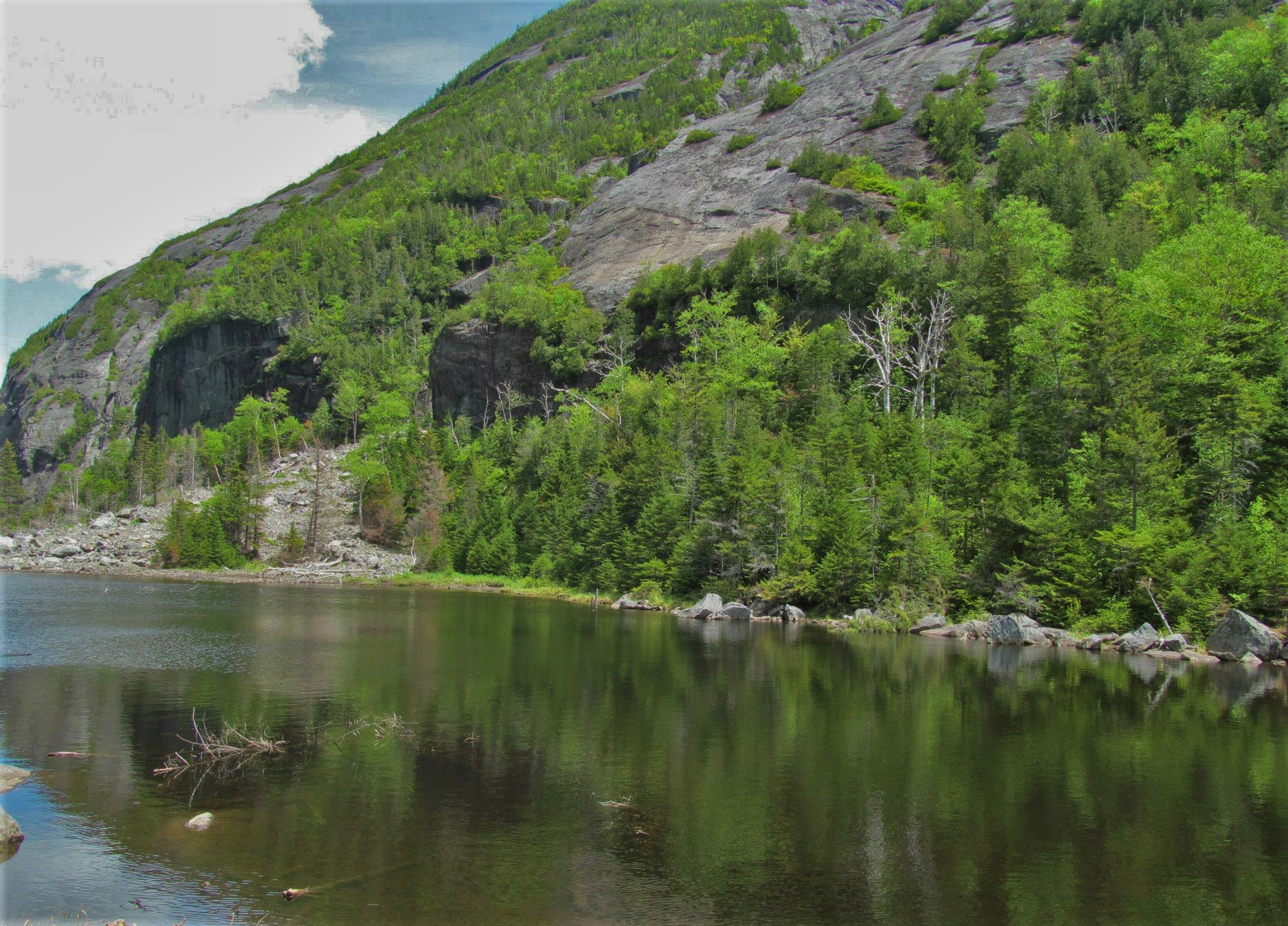 Mount Colden via Avalanche Pass