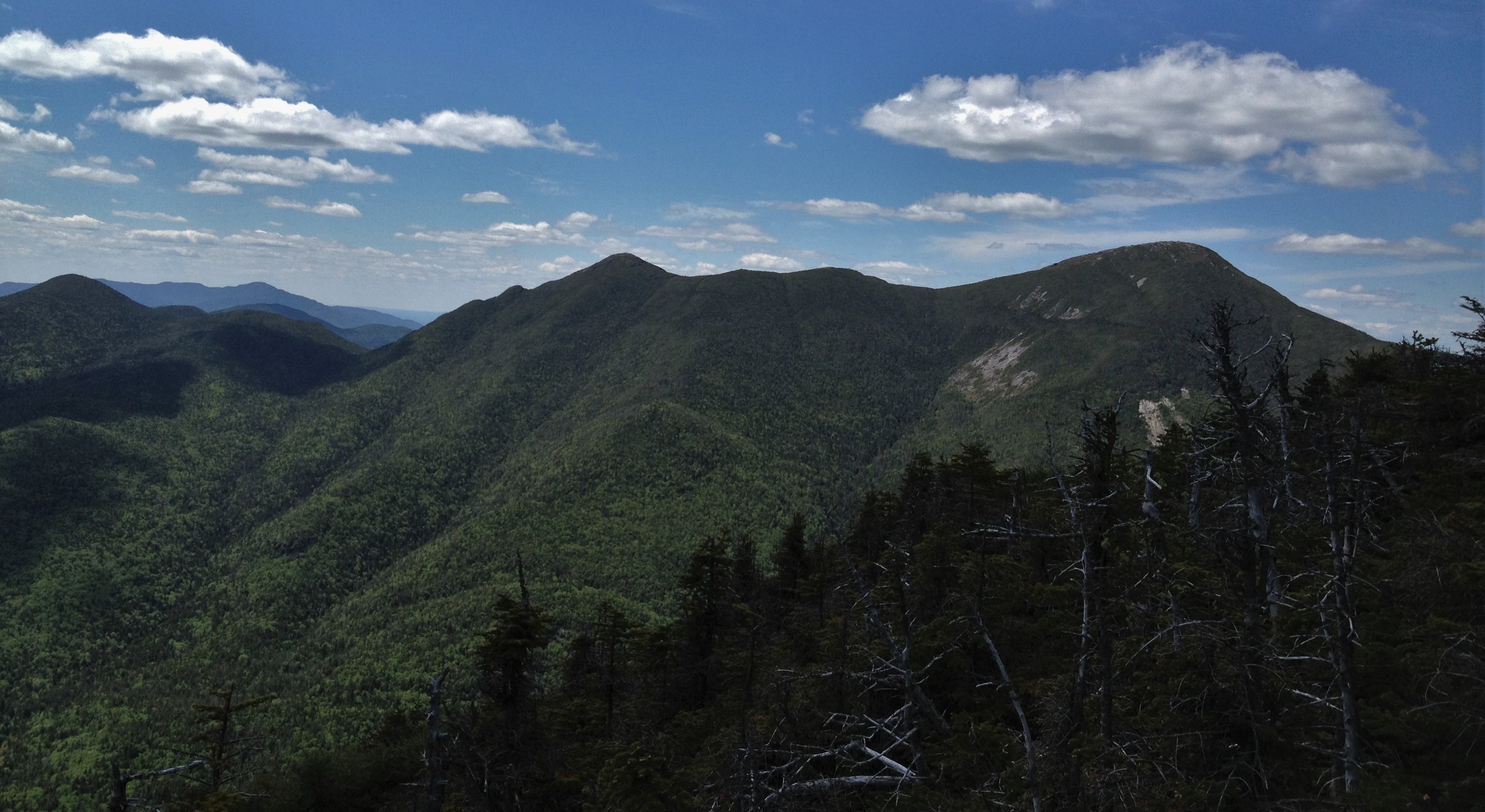Mount Colden via Avalanche Pass