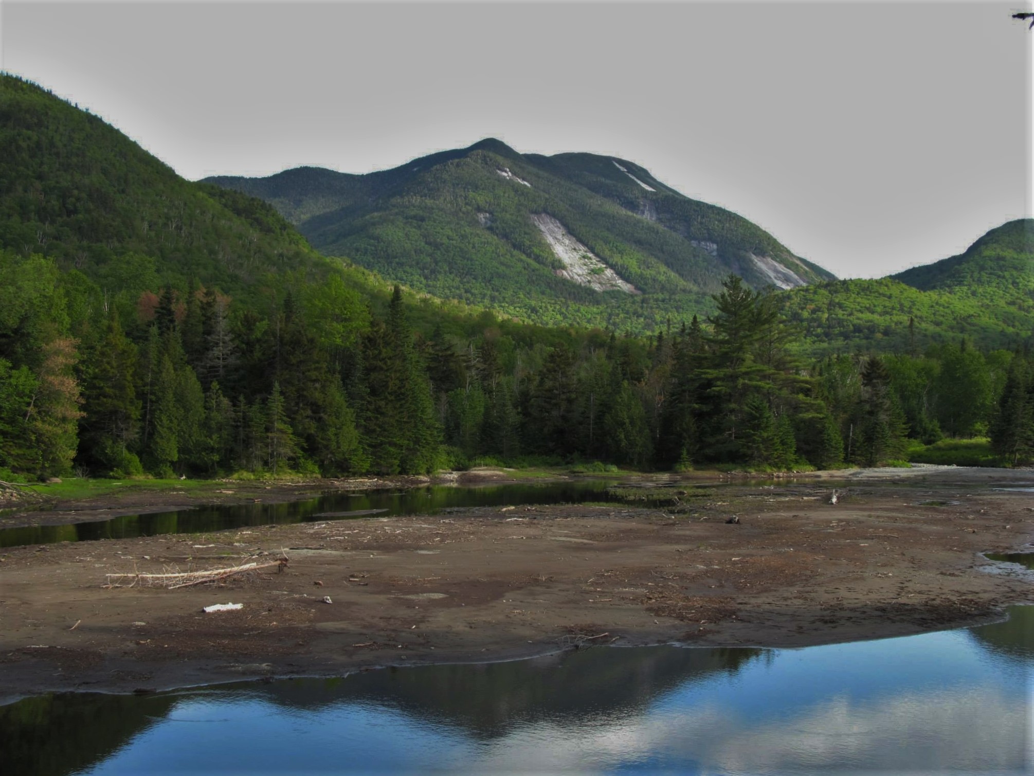 Mount Colden via Avalanche Pass