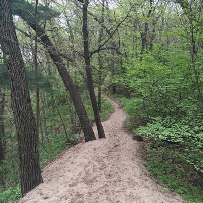 Hike The Indiana Dunes State Park