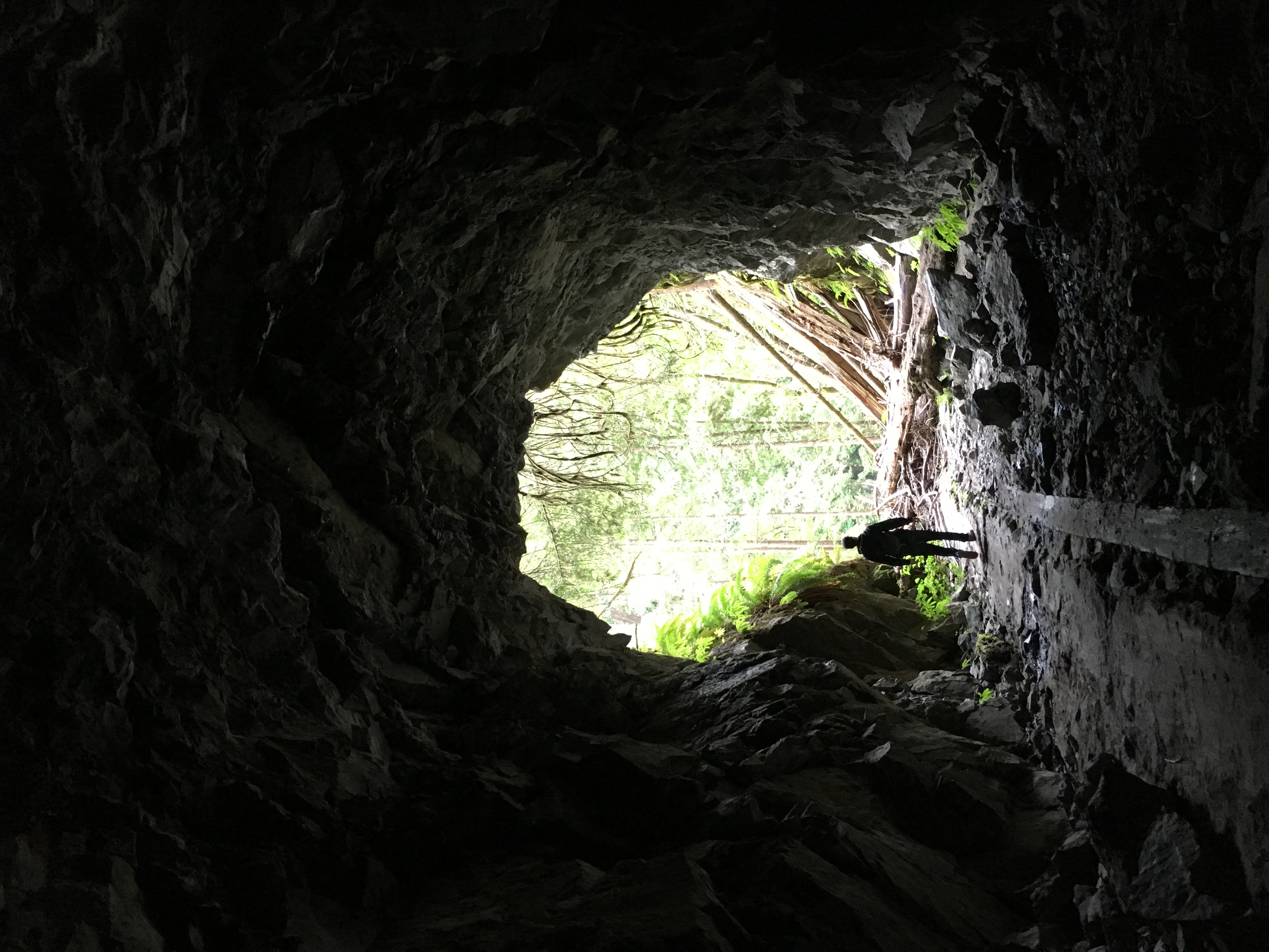 Old Robe Canyon Trail