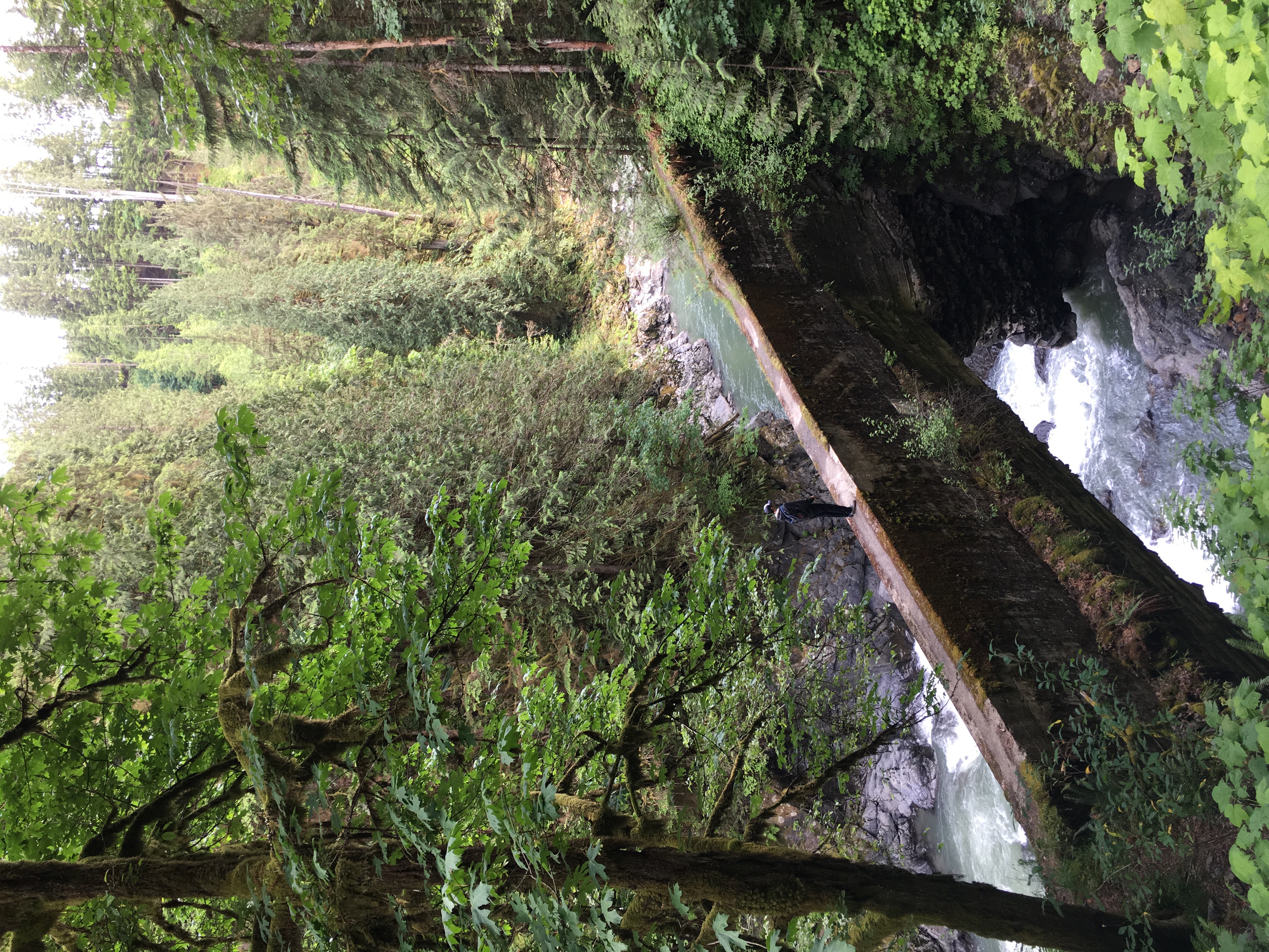 Old Robe Canyon Trail
