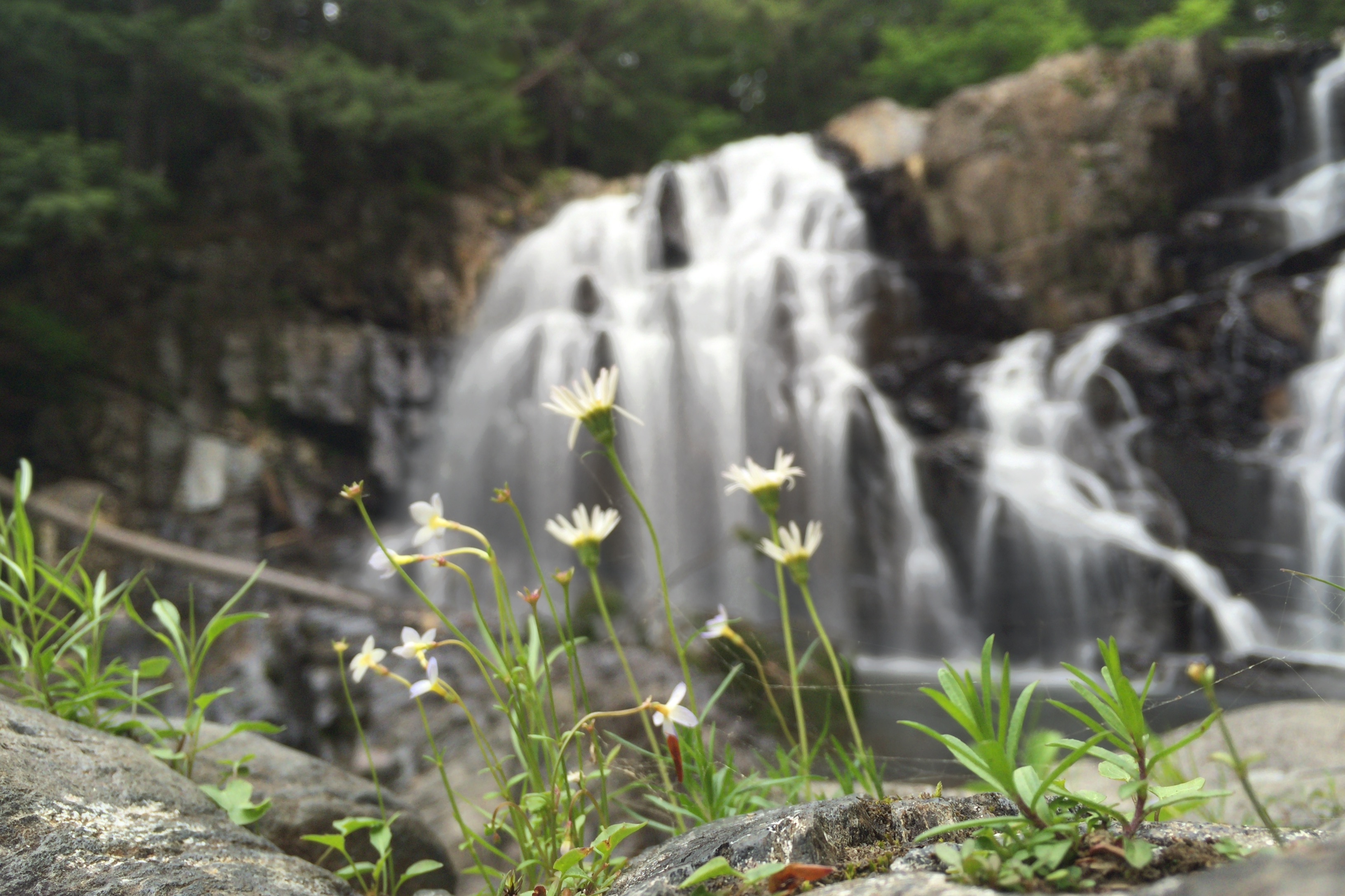 Houston Brook Falls