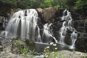 Houston Brook Falls