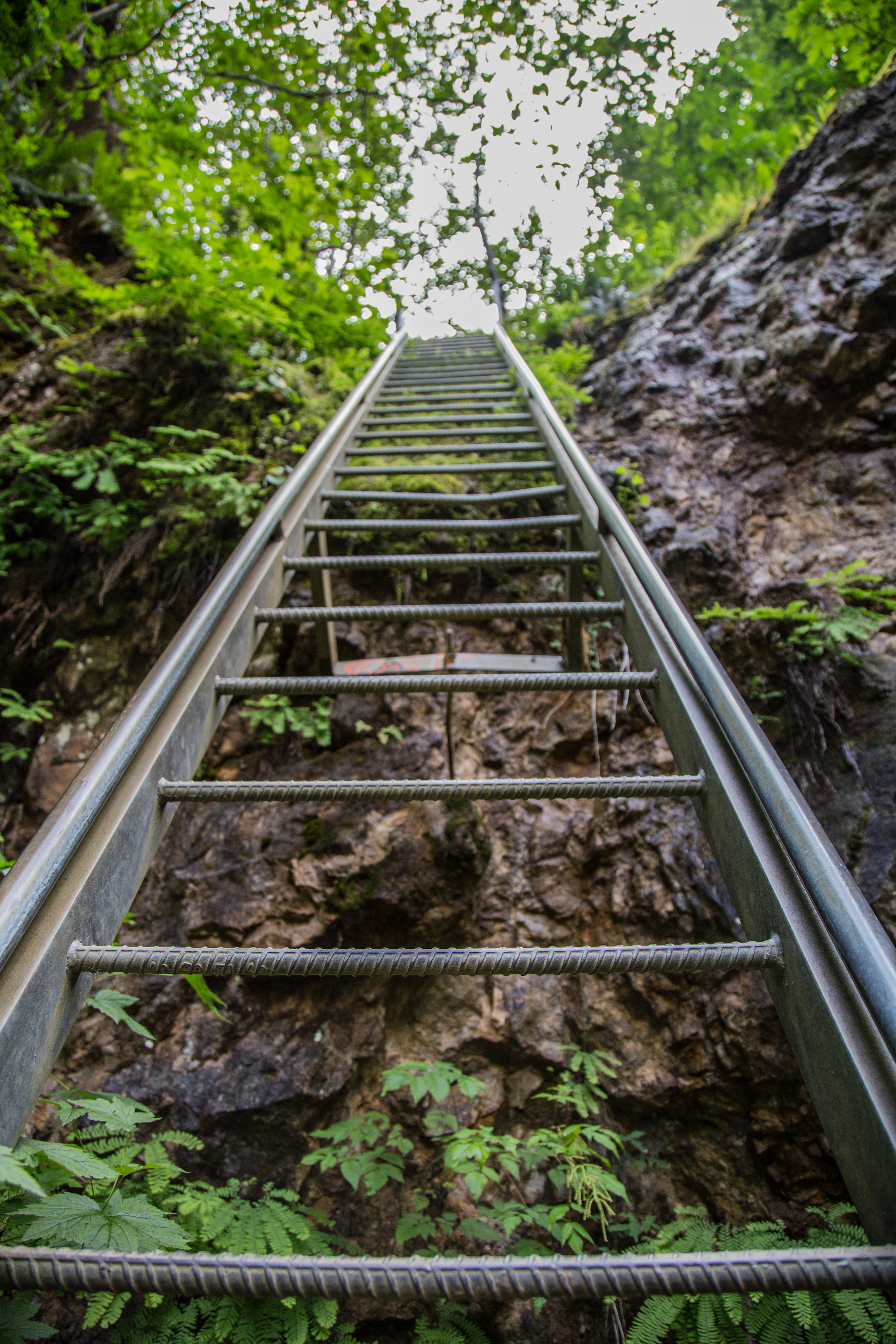 Hike the Lava Canyon