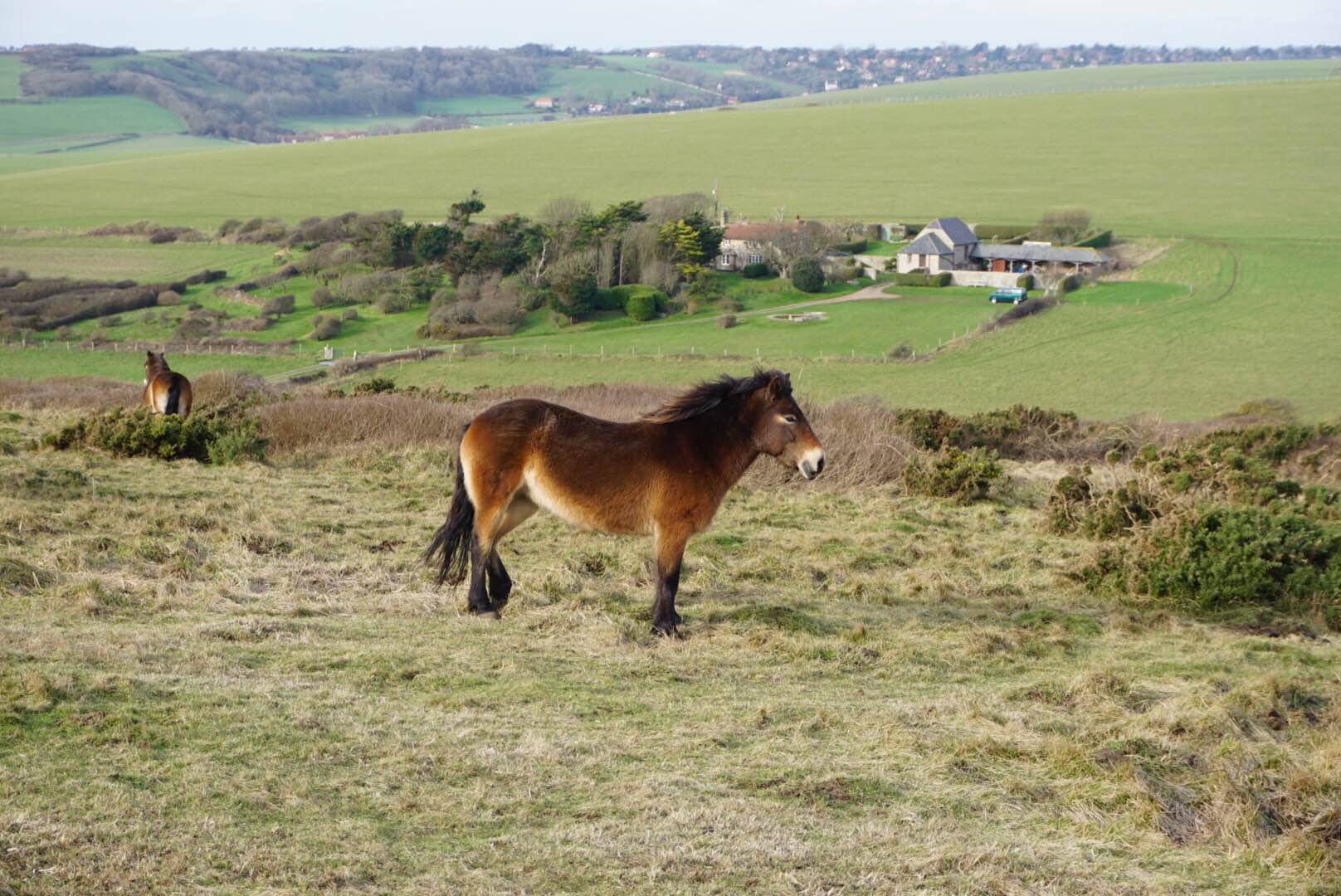 Hike to Beachy Head