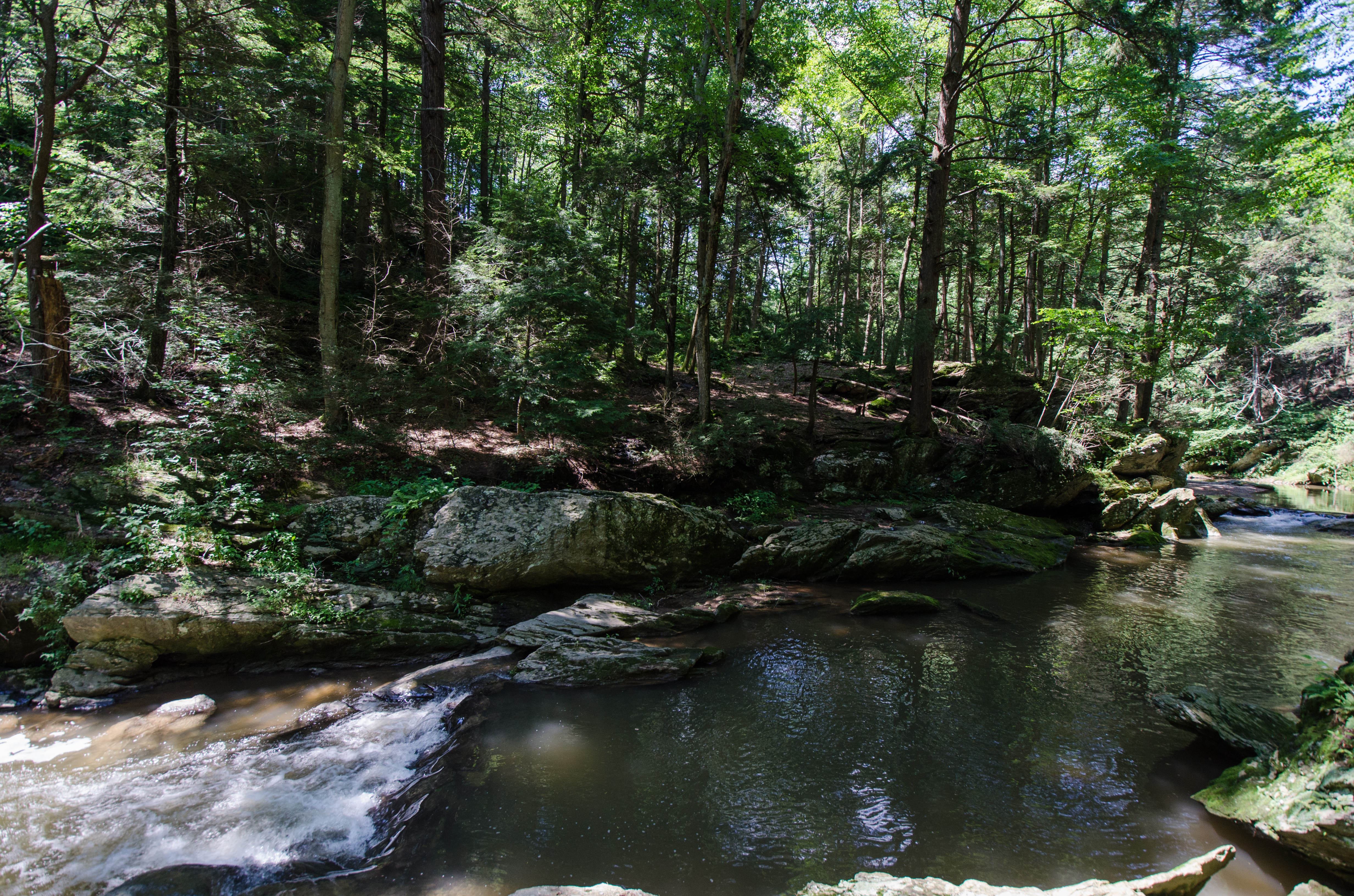 Hike Hemlock Gorge 