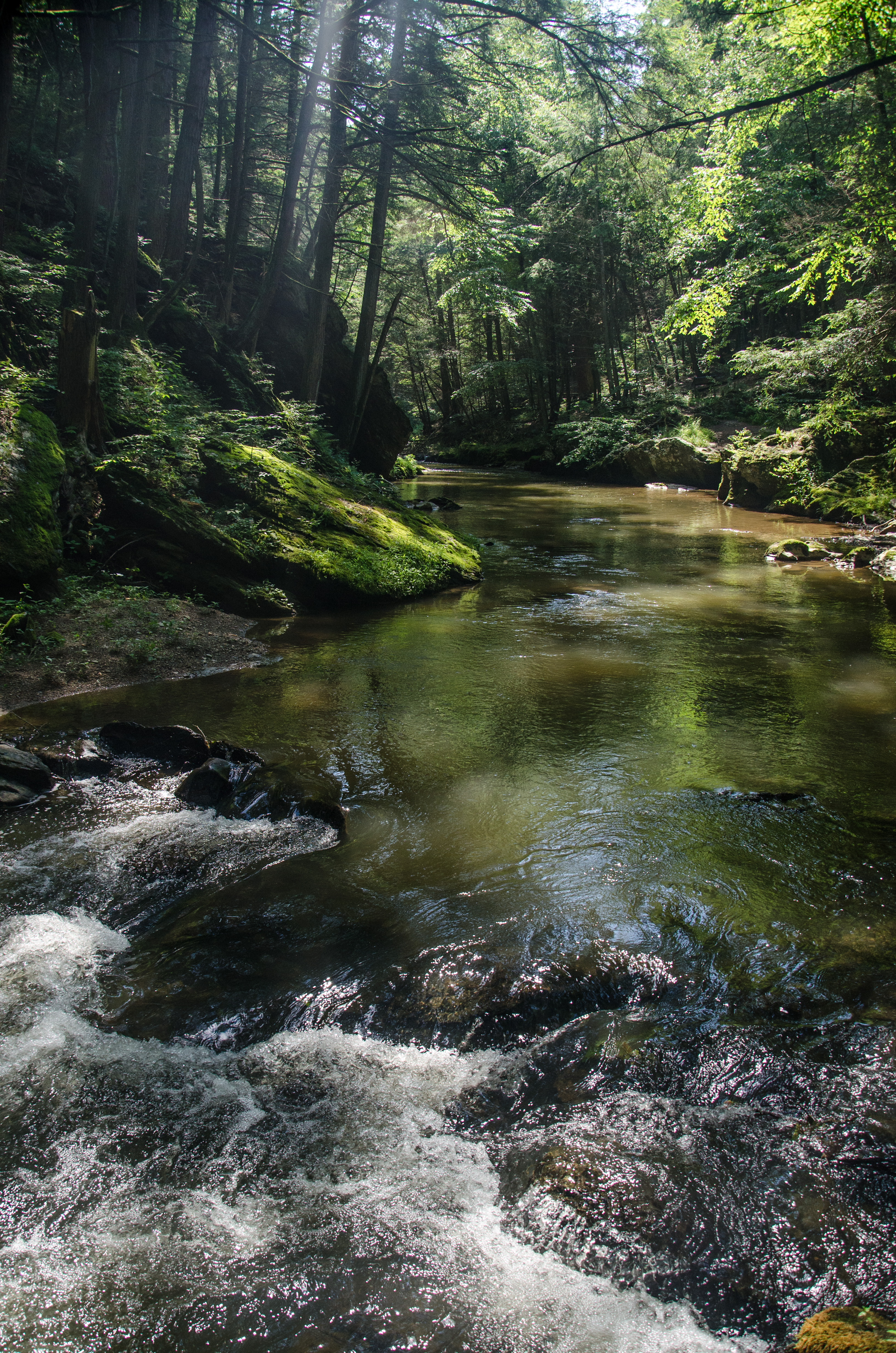 Hike Hemlock Gorge 