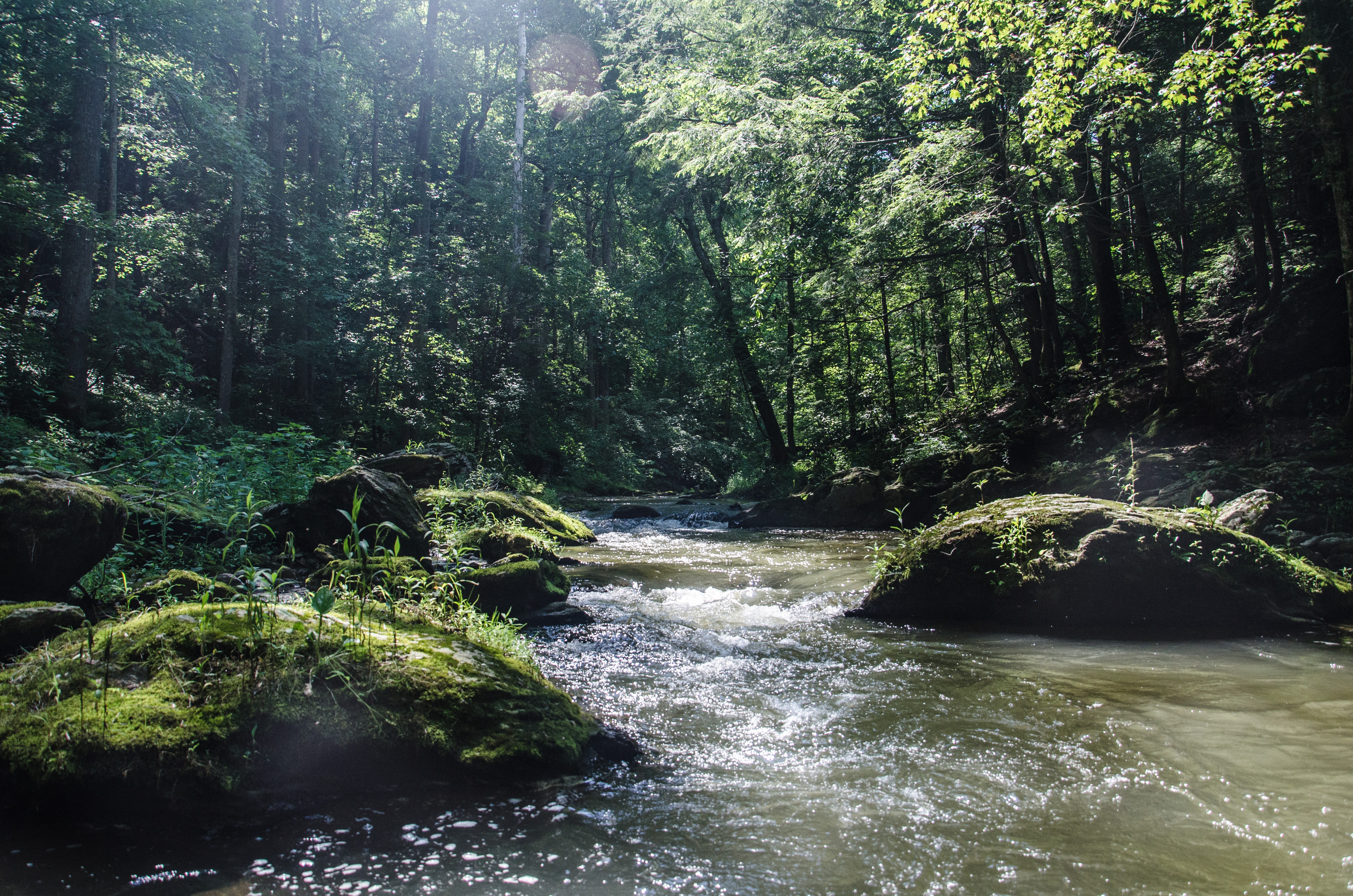 Hike Hemlock Gorge 