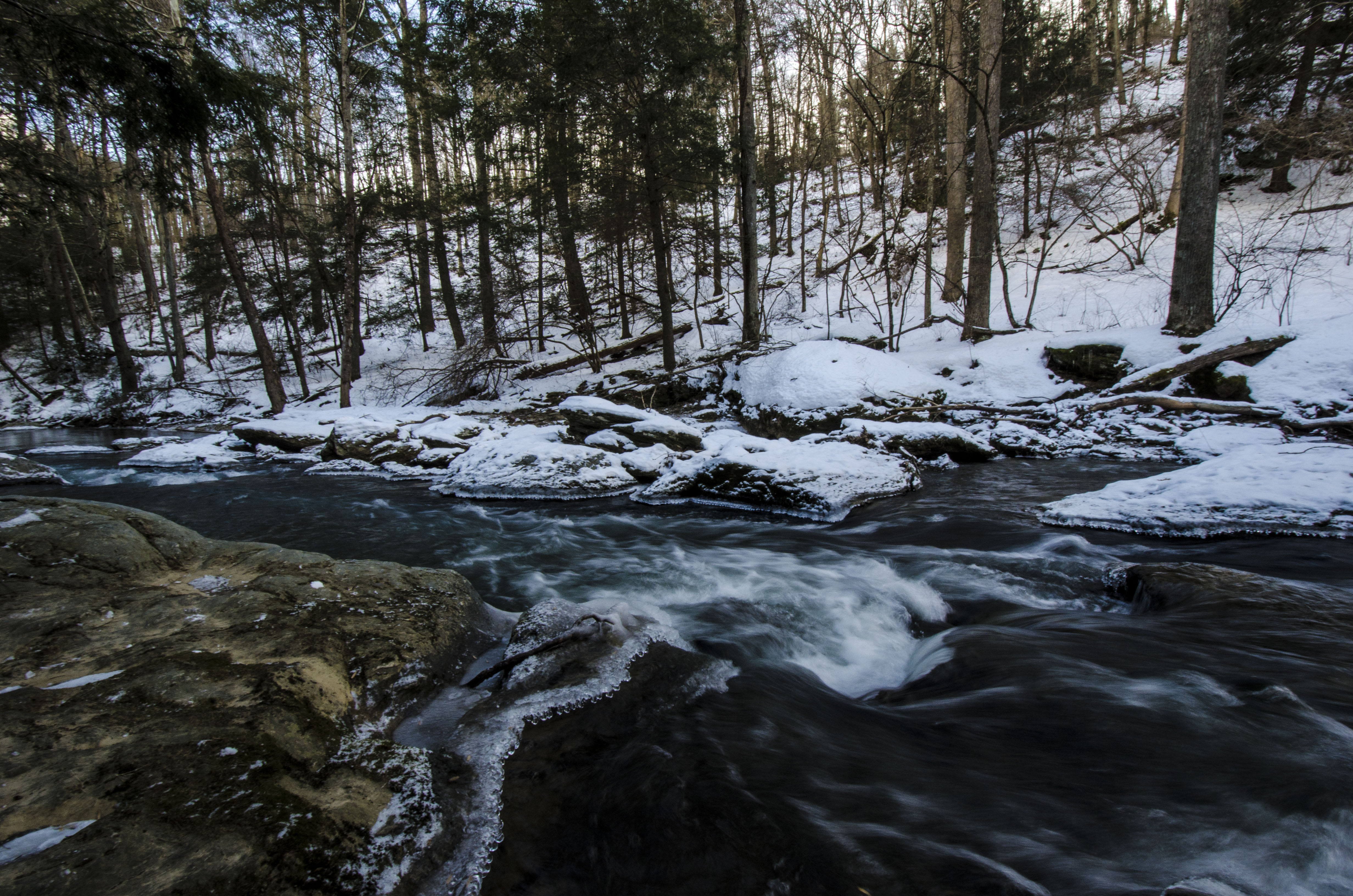Hike Hemlock Gorge 