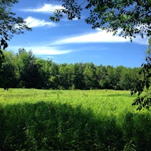 Hike the Glacier Flats Trail at Spicer Lake Nature Reserve