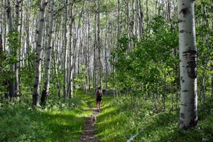 Hike to the Crow’s Nest in the Wind River Range