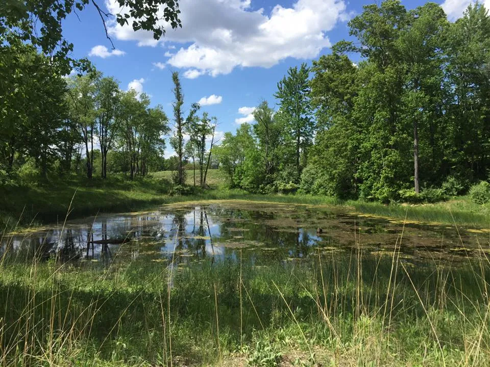Rolling Oaks Trail