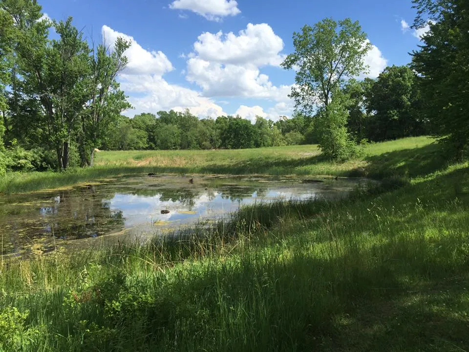 Rolling Oaks Trail