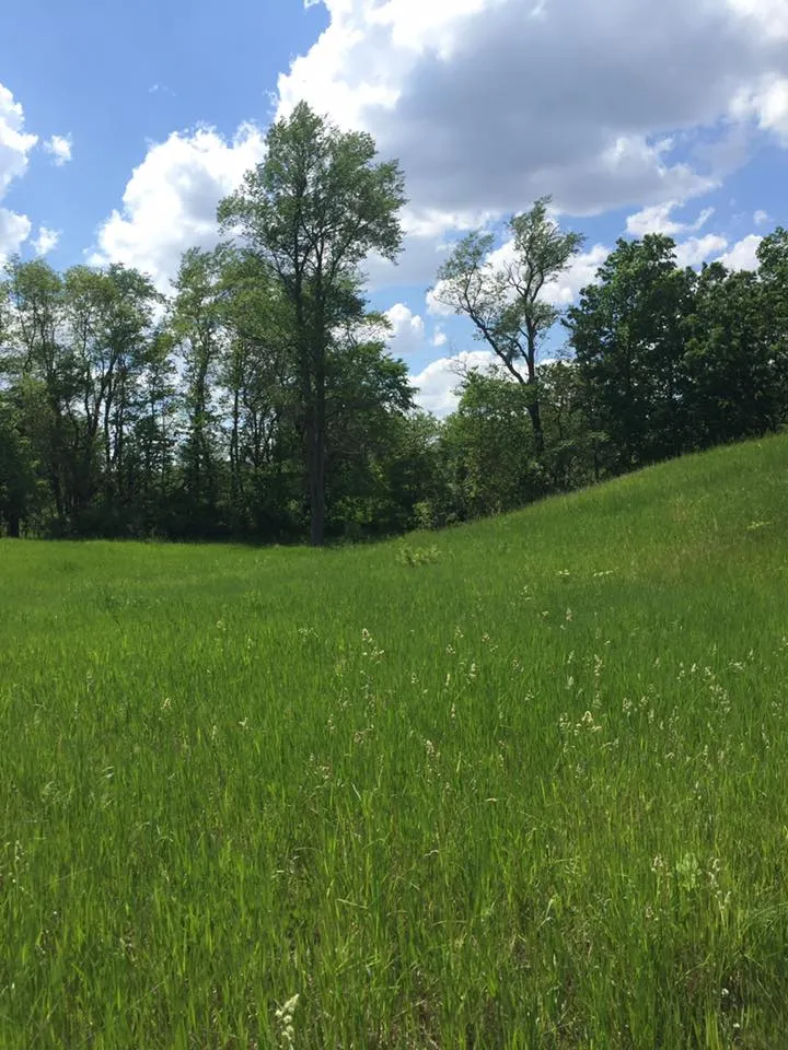 Rolling Oaks Trail