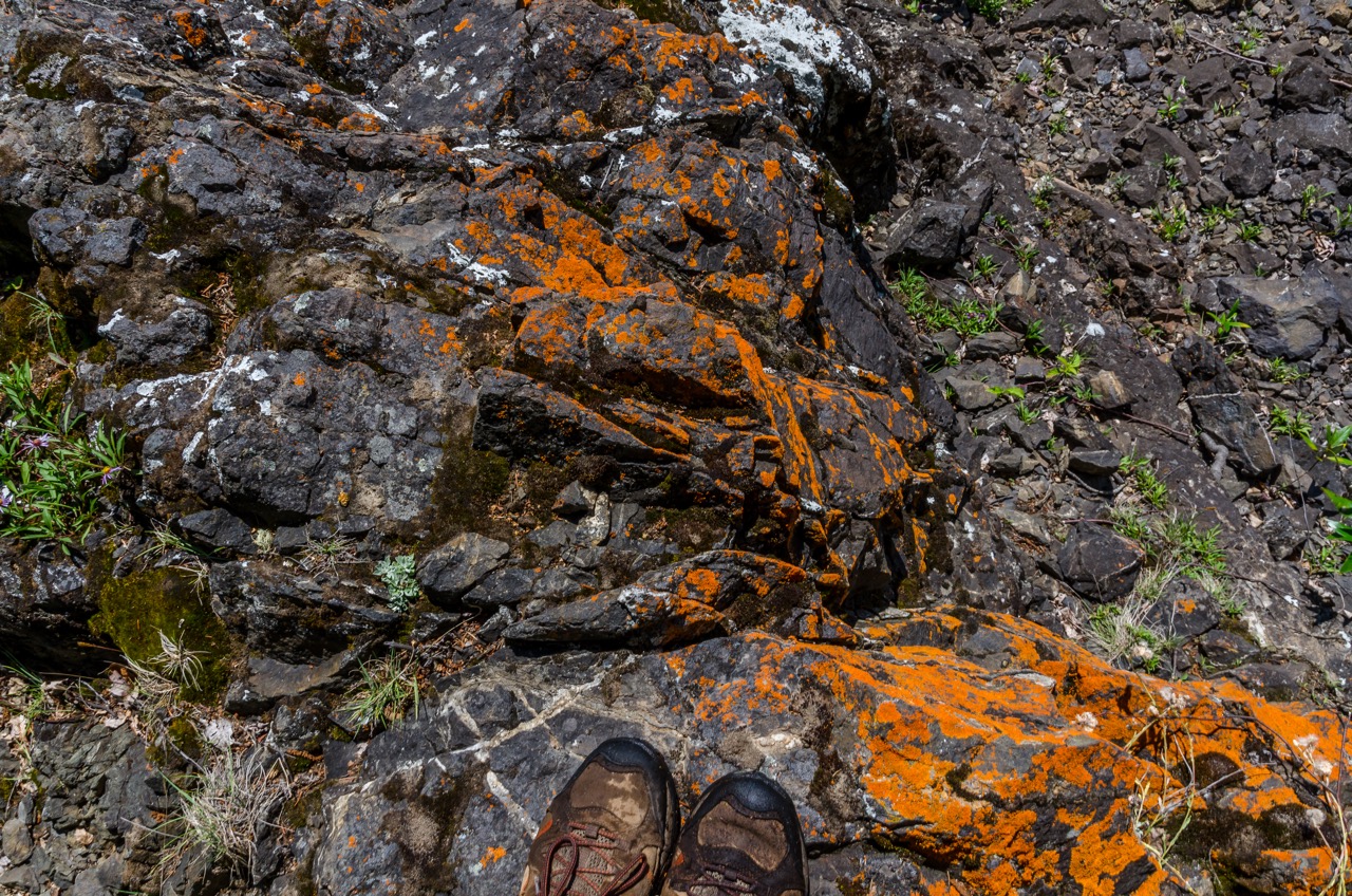Fort George Canyon Trail