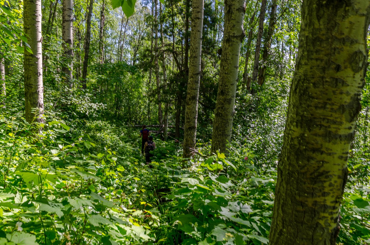 Fort George Canyon Trail