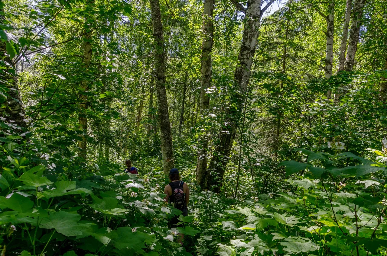 Fort George Canyon Trail
