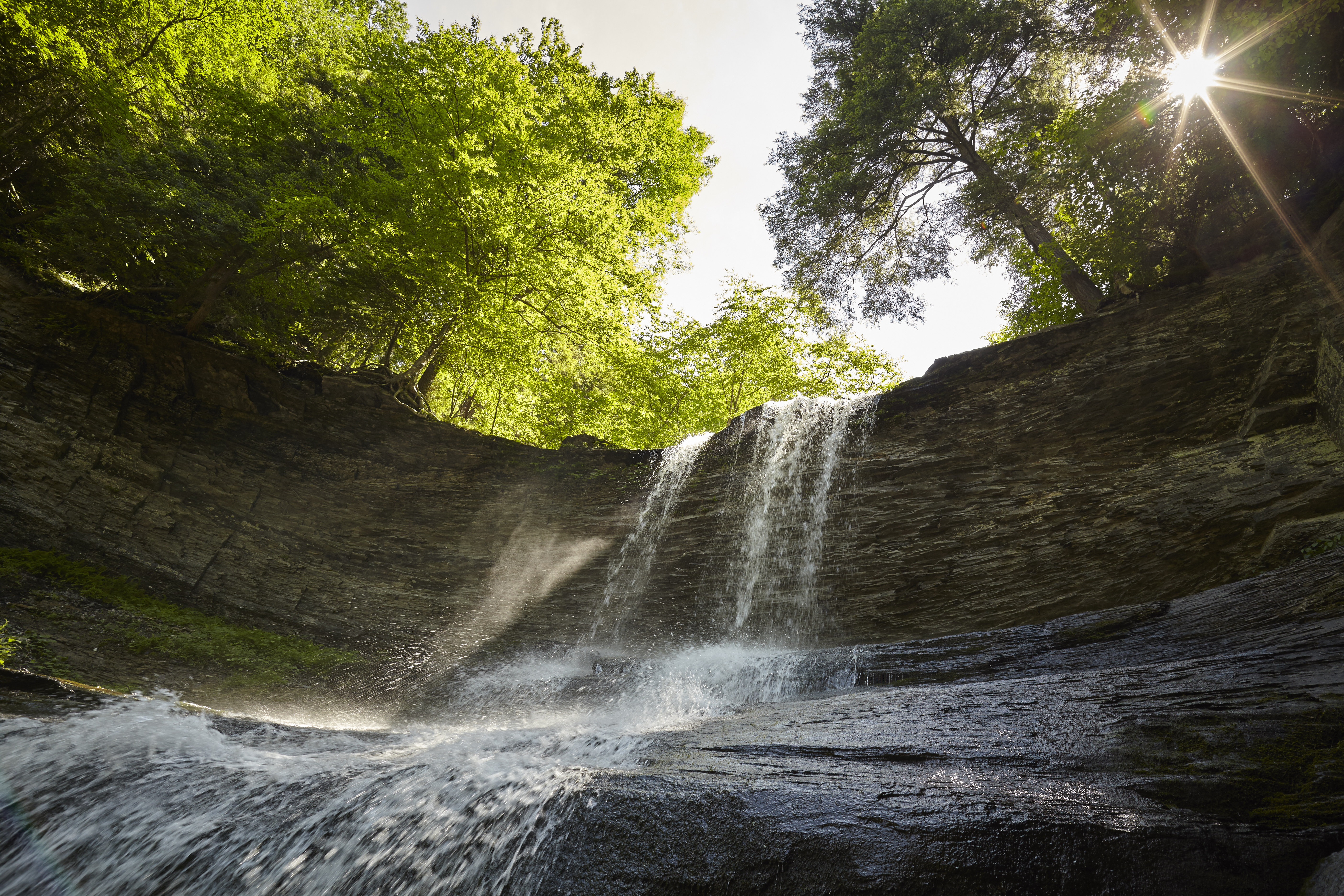 Carpenter and Angel Falls